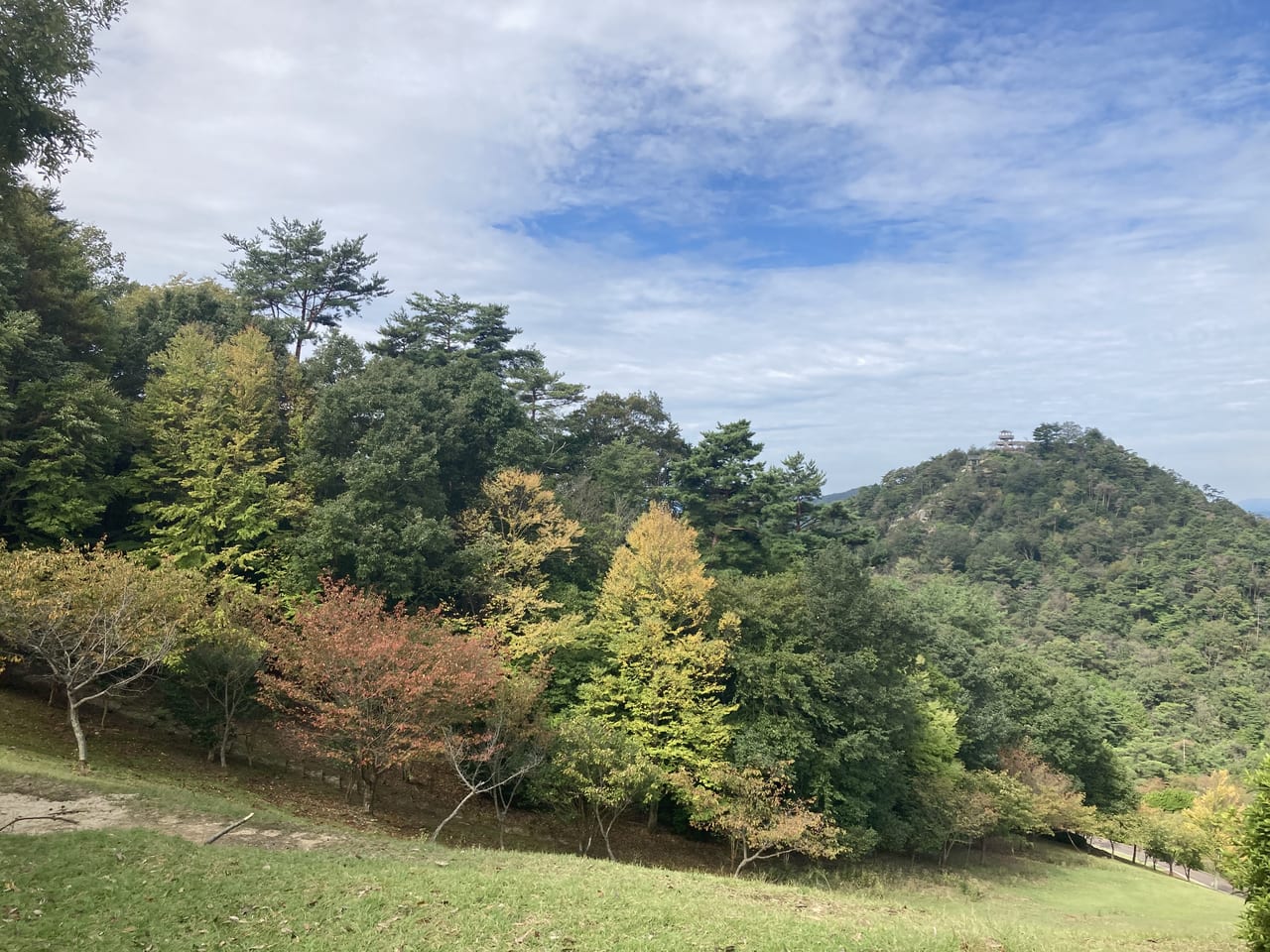 2022年9月広島市森林公園_紅葉の様子_高台から