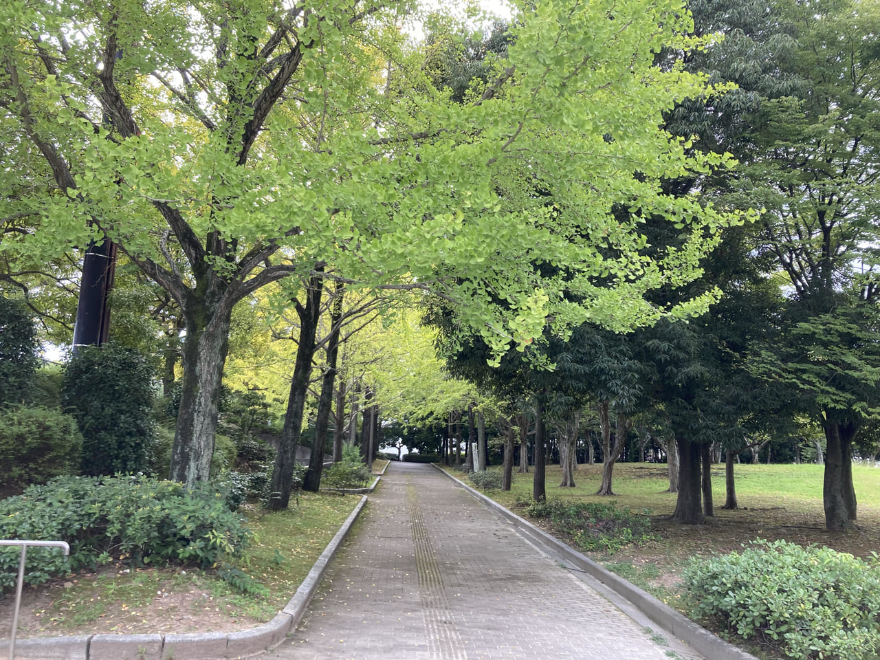 2022年9月西部埋立第五公園散歩道