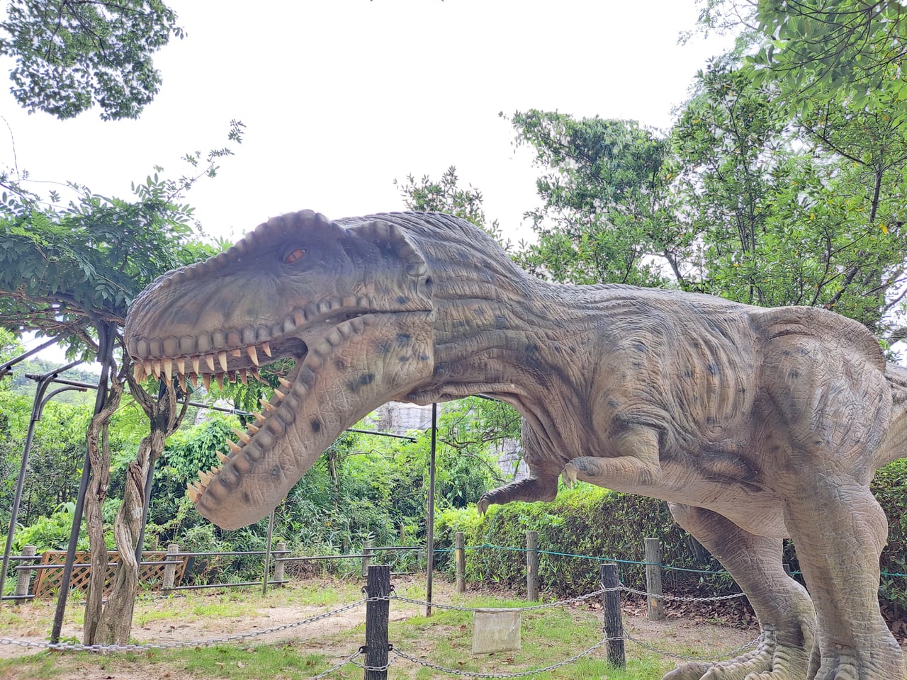 安佐動物園　