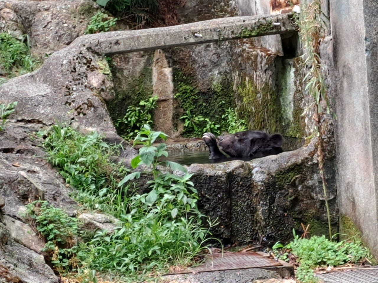 安佐動物園　