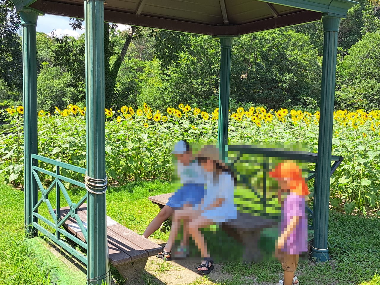 植物公園ひまわりベンチ