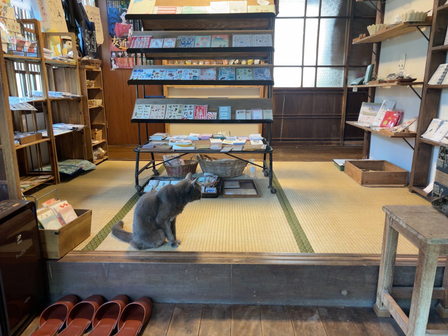 入口すぐに並ぶ雑貨とお出迎えしてくれる猫ちゃん