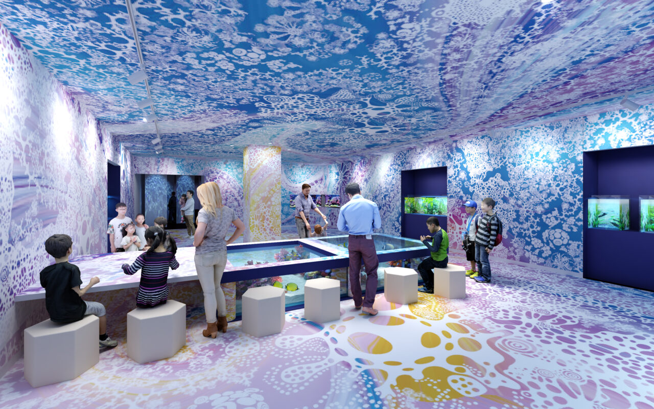 色鮮やかなサンゴや空間アートが広がる「Coral」の展示エリア