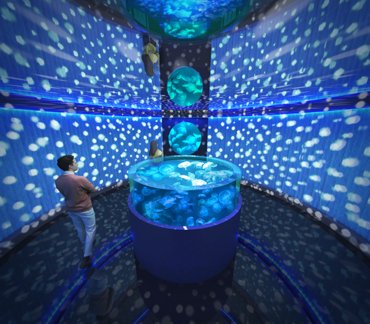 クラゲや海水魚が幻想的に展示される「Marin note」のエリア