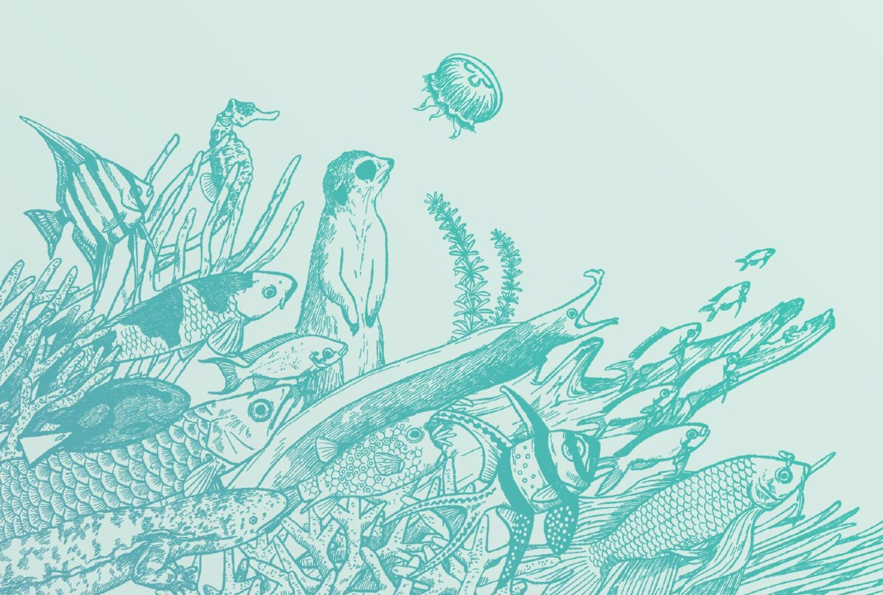 館内5か所のスタンプを集められる塗り絵タイプのスタンプブック