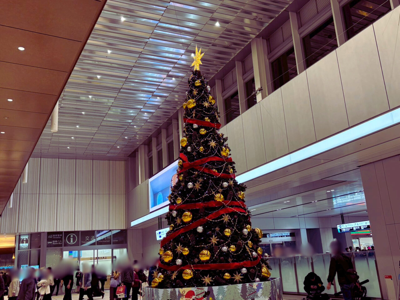 広島駅路面電車乗り場前広場に設置されたクリスマスツリーの全景