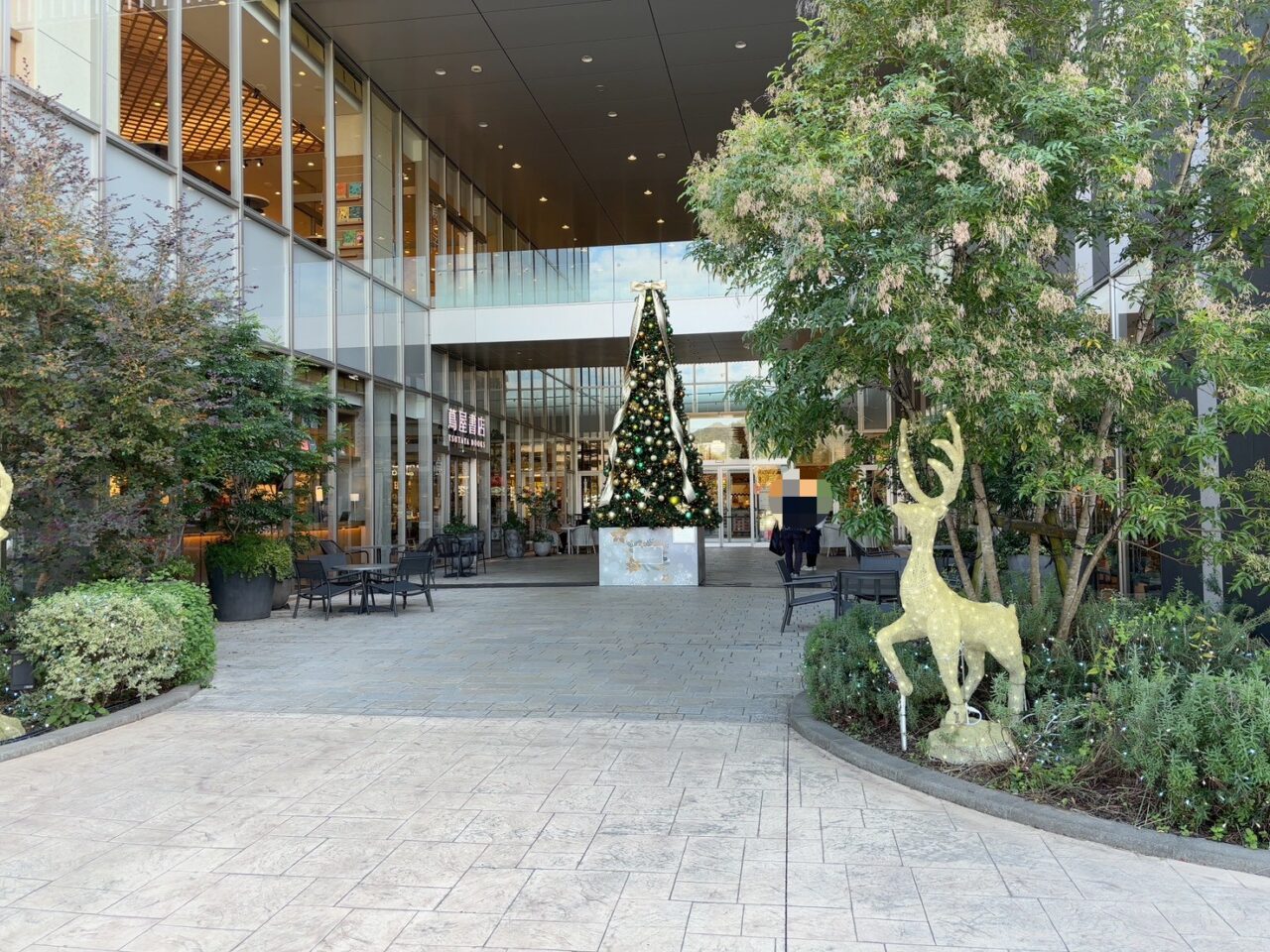 レクトに登場したトナカイ型のイルミネーション。夜に美しく光り、写真撮影にも人気。