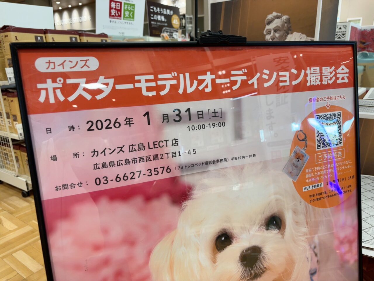 カインズで開催される「わんちゃんポスターモデルオーディション」のイベント告知ポスター
