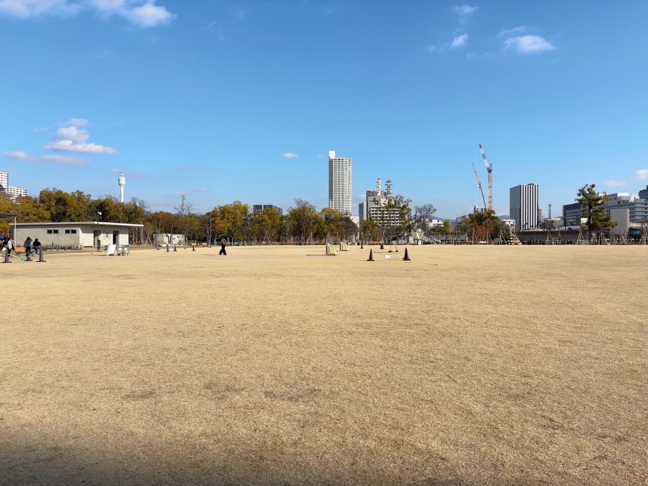 ひろしまスタジアムパーク内に整備された芝生広場の様子