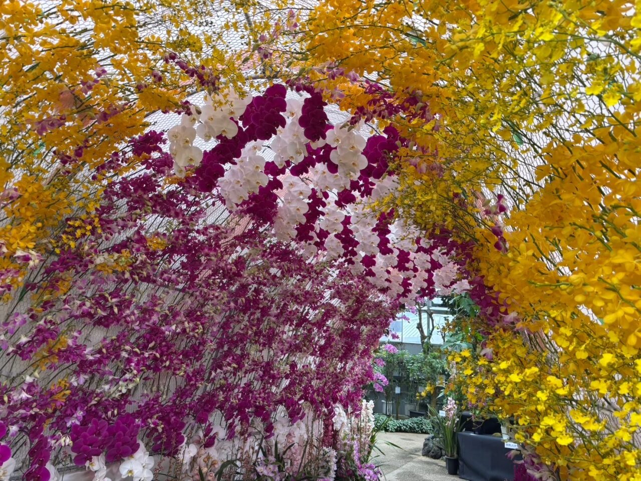 広島市植物公園で開催された春の特別ラン展の会場全体の様子