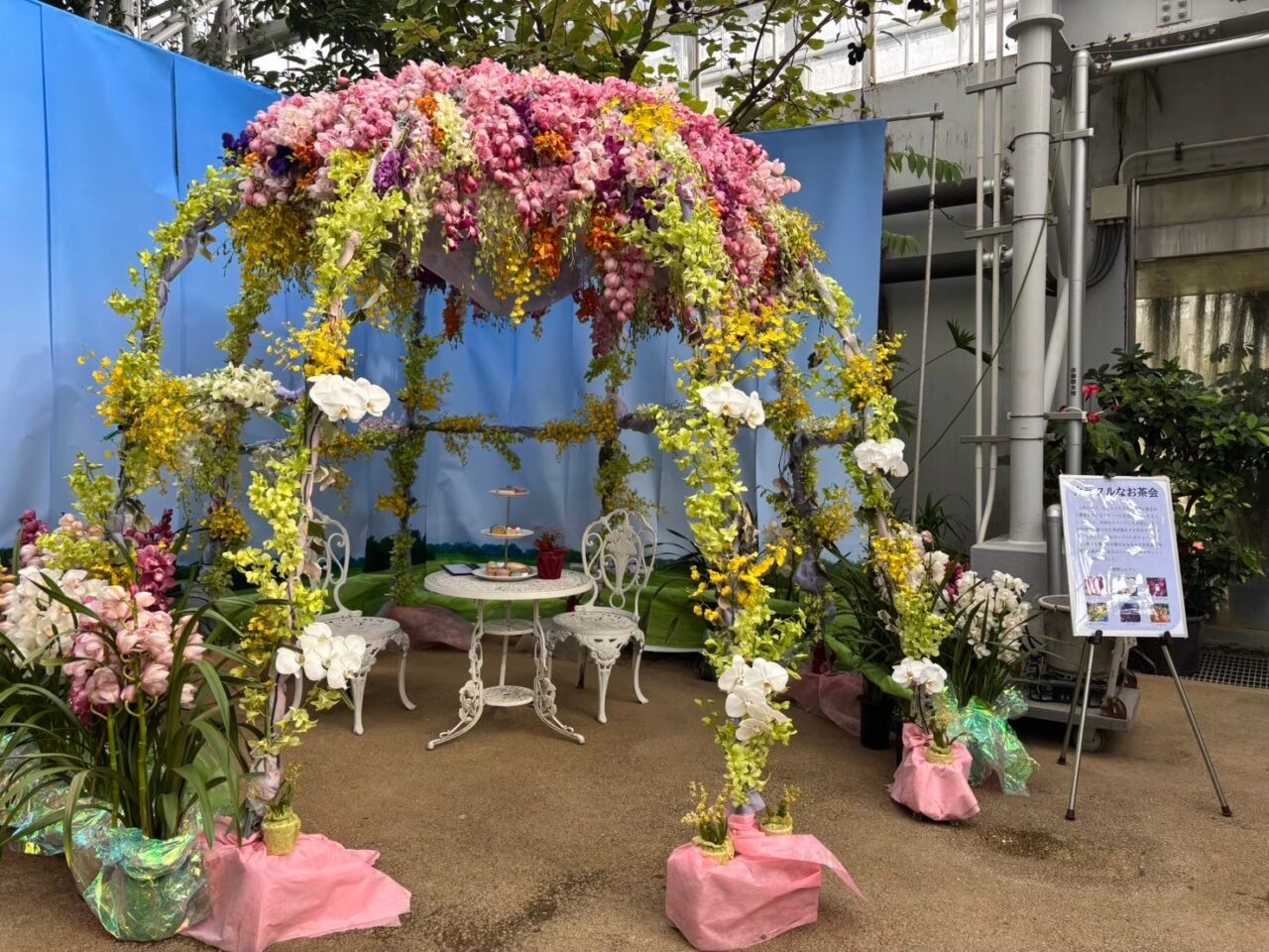 広島市植物公園で開催された春の特別ラン展の会場全体の様子