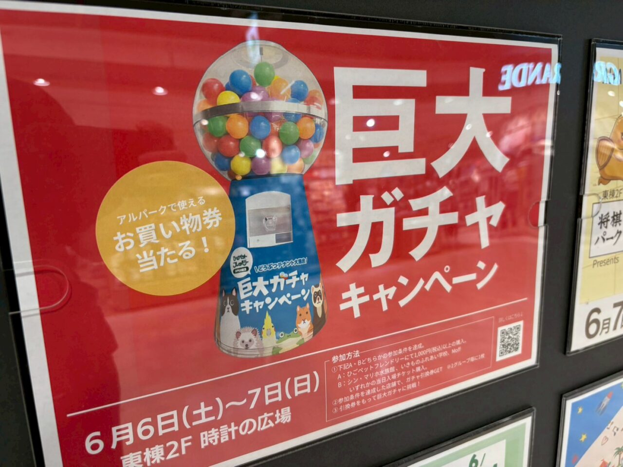 アルパークにオープンするひごペットフレンドリーの店内準備風景と商品売場