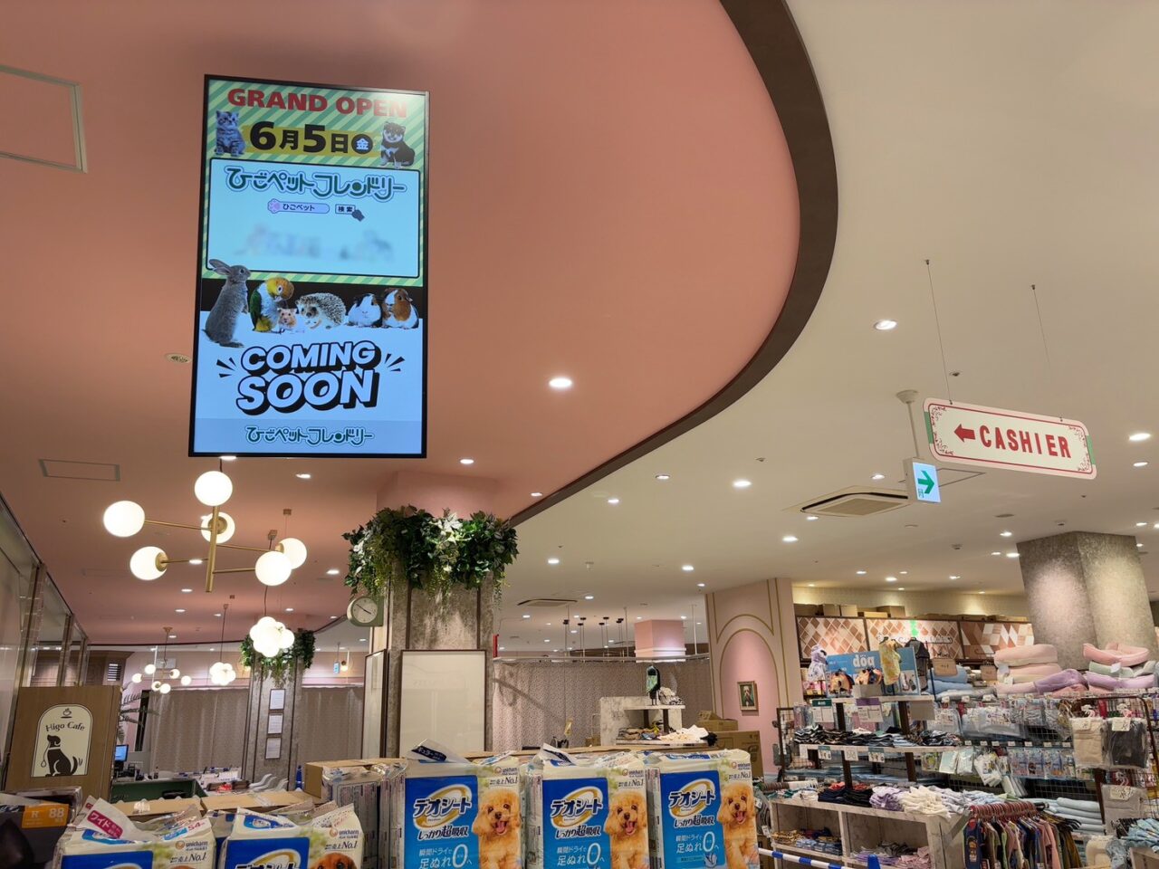 アルパークにオープンするひごペットフレンドリーの店内準備風景と商品売場