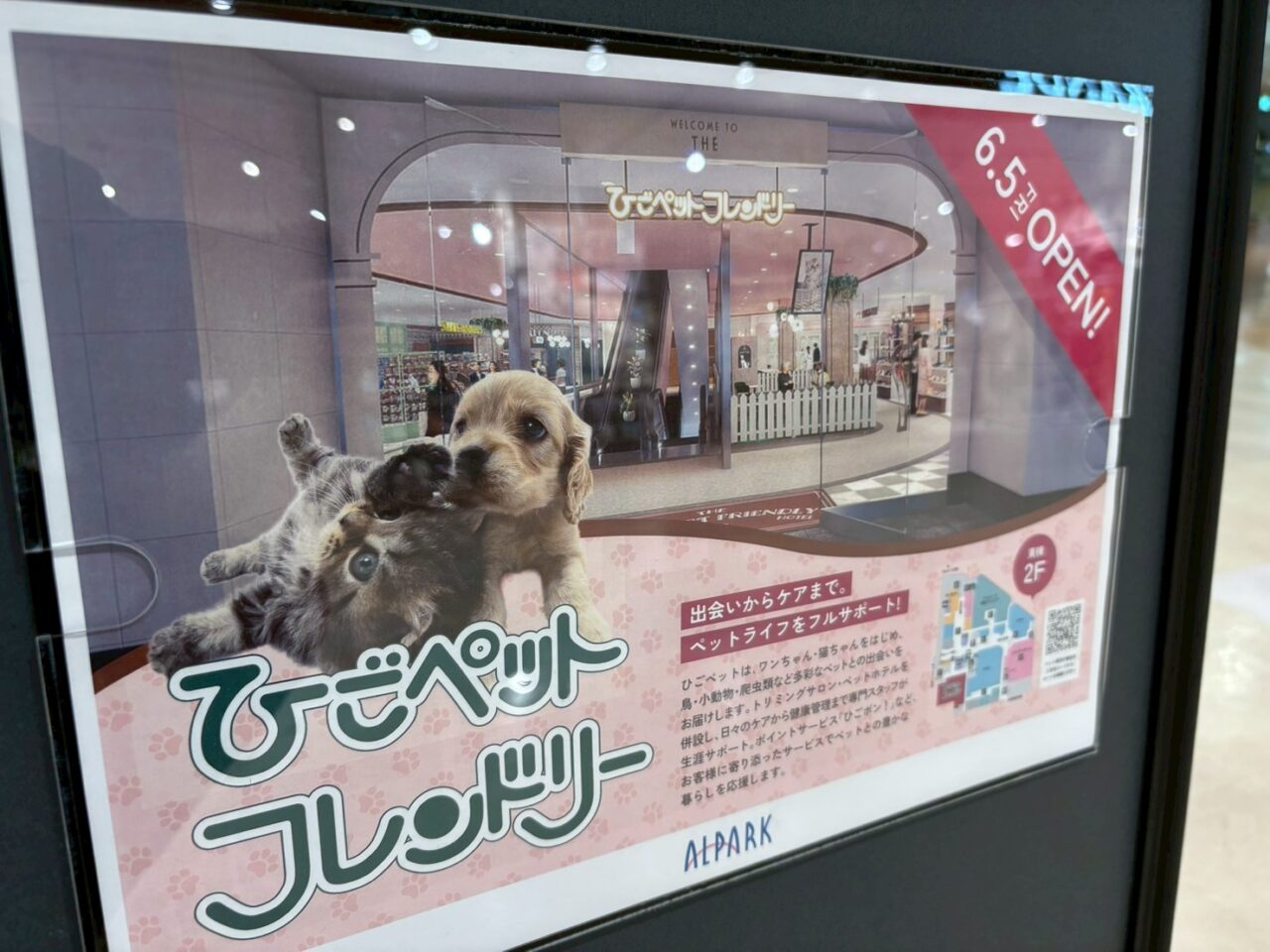 アルパークにオープンするひごペットフレンドリーの店内準備風景と商品売場