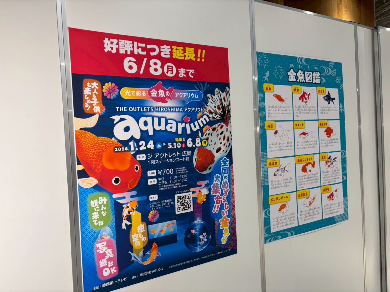 THE OUTLETS HIROSHIMAで開催中の「光で彩る金魚のアクアリウム」