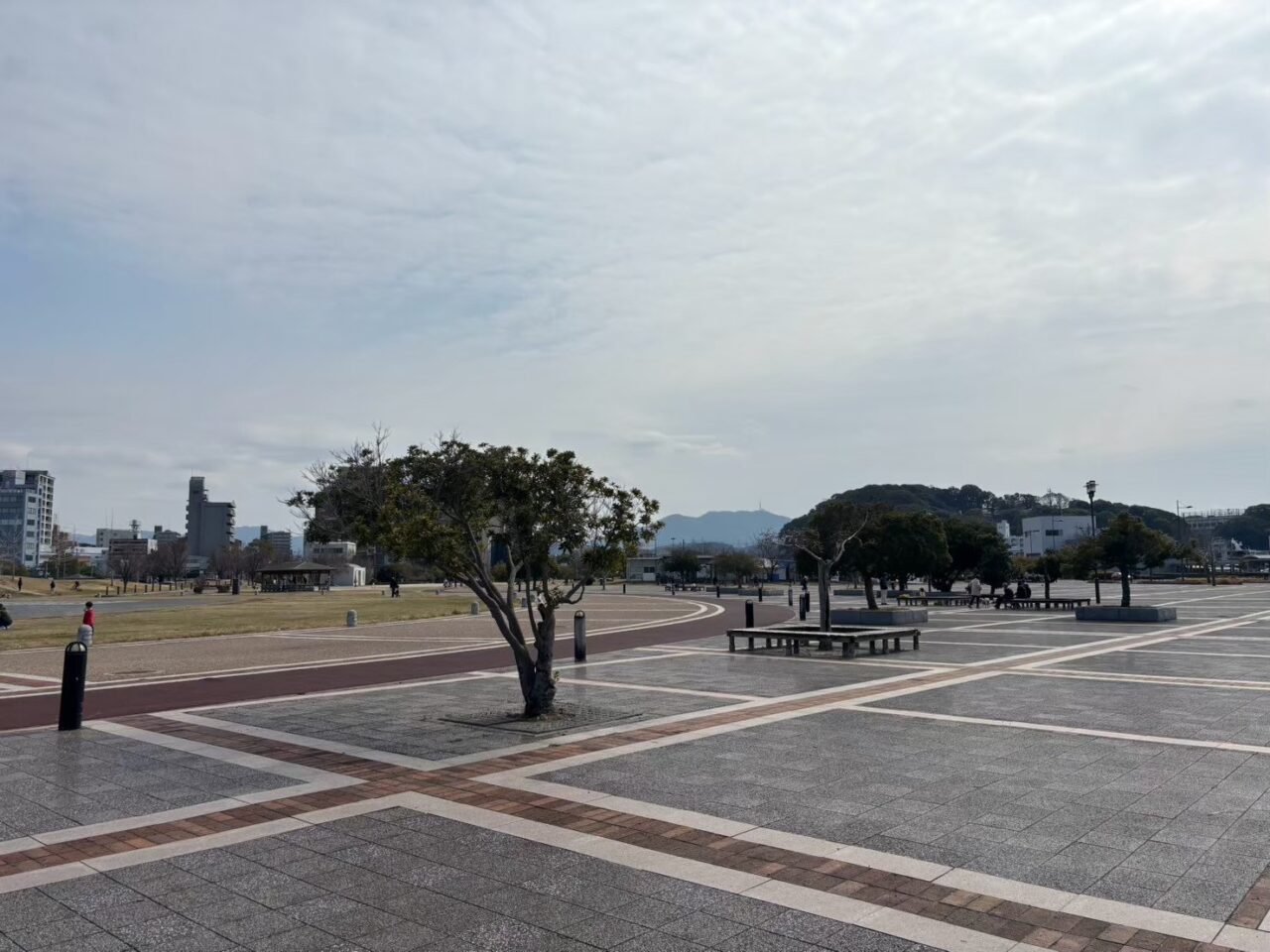 広島さんま祭りの会場となる広島市南区の広島みなと公園
