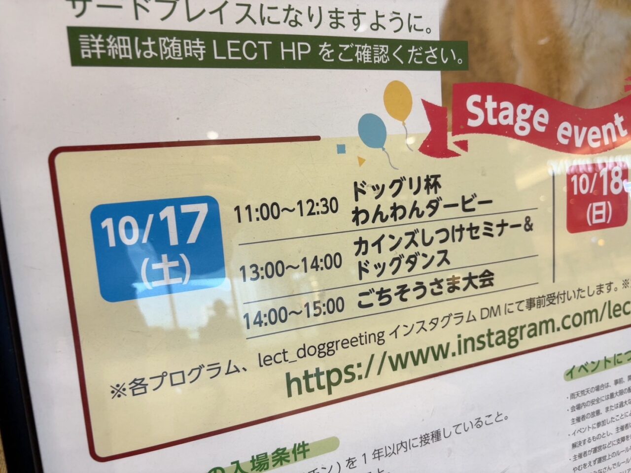 LECTで10月17日・18日に開催される犬のイベント「DOG GReeTING vol.15」の告知ポスター。わんわんダービーやドッグダンスなどのステージイベント情報が掲載されています。