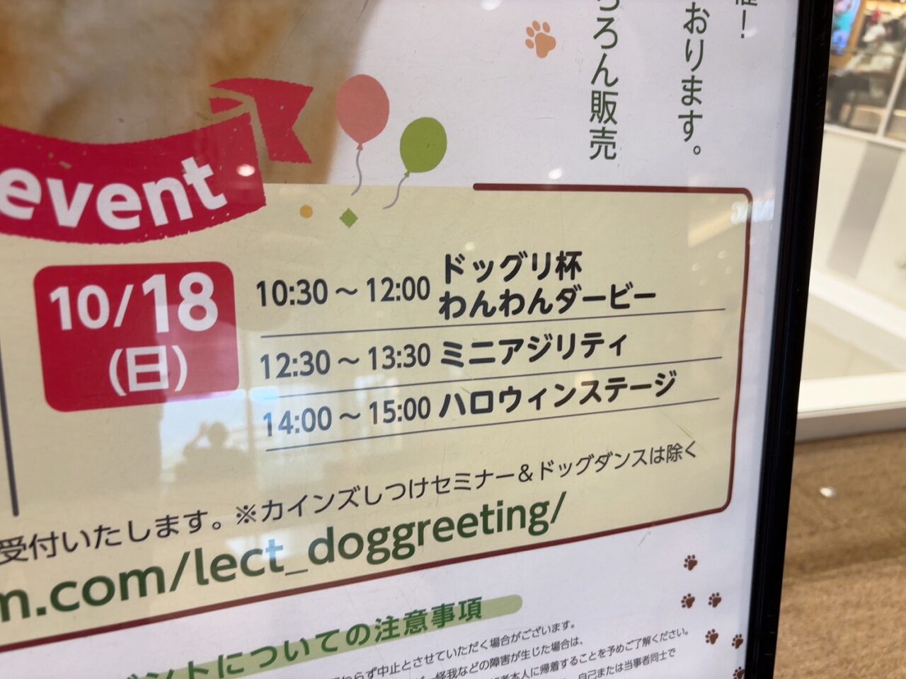 LECTで10月17日・18日に開催される犬のイベント「DOG GReeTING vol.15」の告知ポスター。わんわんダービーやドッグダンスなどのステージイベント情報が掲載されています。