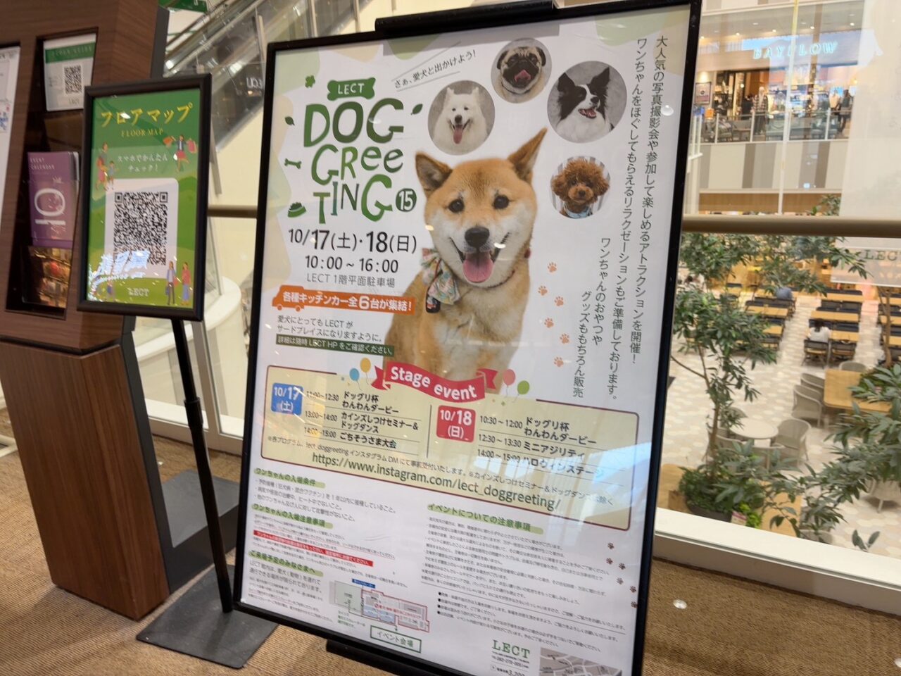 LECTで10月17日・18日に開催される犬のイベント「DOG GReeTING vol.15」の告知ポスター。わんわんダービーやドッグダンスなどのステージイベント情報が掲載されています。