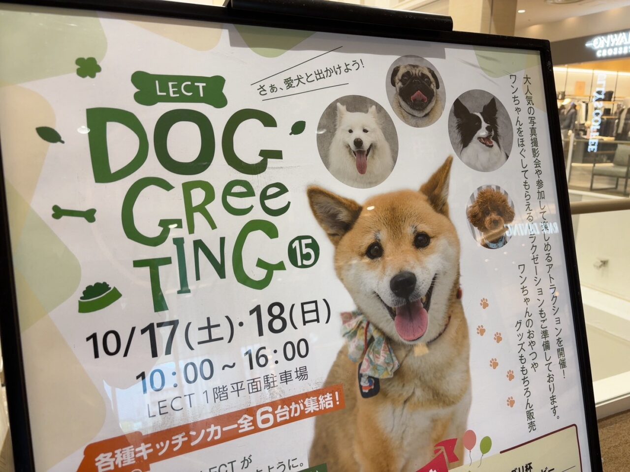 LECTで10月17日・18日に開催される犬のイベント「DOG GReeTING vol.15」の告知ポスター。わんわんダービーやドッグダンスなどのステージイベント情報が掲載されています。